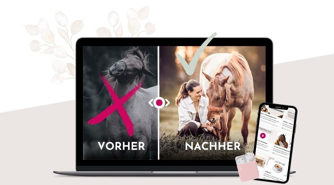 Die wichtigste Business-Lektion deines Lebens: Finde deine Nische!